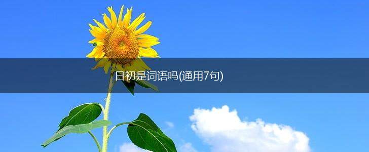 日初是词语吗(通用7句),第1张