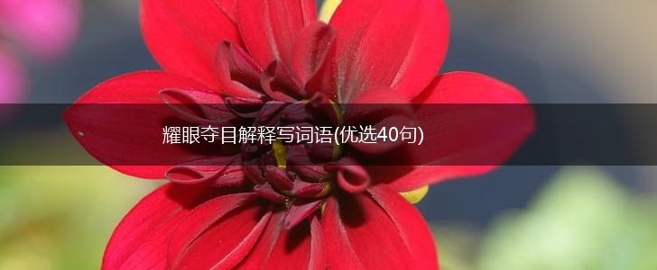 耀眼夺目解释写词语(优选40句),第1张