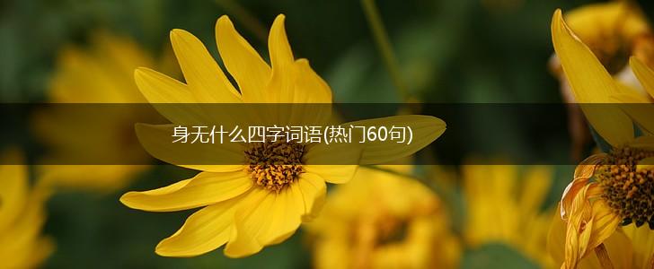 身无什么四字词语(热门60句),第1张