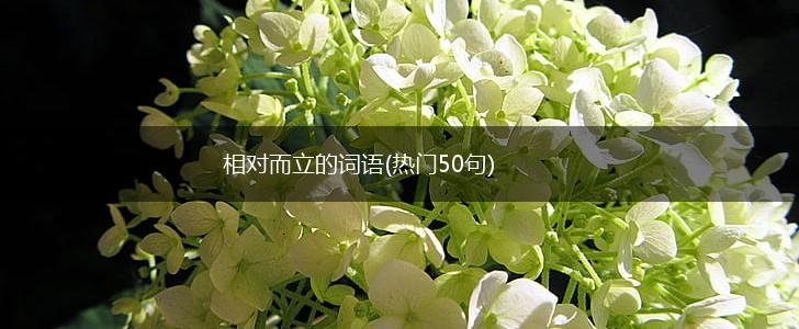 相对而立的词语(热门50句),第1张