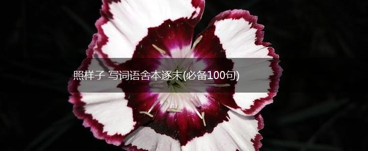 照样子 写词语舍本逐末(必备100句),第1张