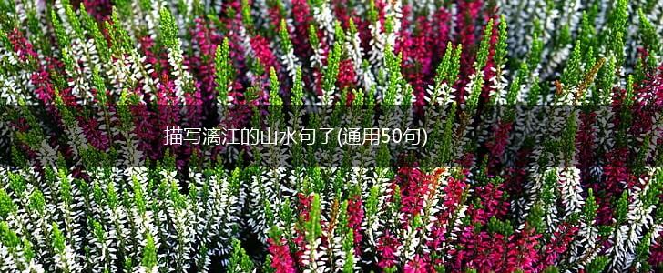 描写漓江的山水句子(通用50句),第1张