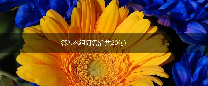 答怎么组词语(合集20句),第1张