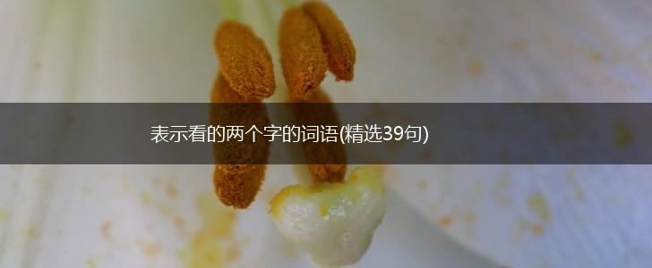 表示看的两个字的词语(精选39句),第1张