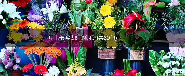 早上形容太阳的词语(共80句),第1张