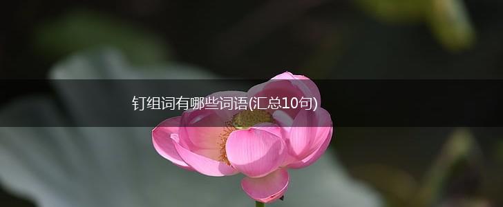 钉组词有哪些词语(汇总10句),第1张