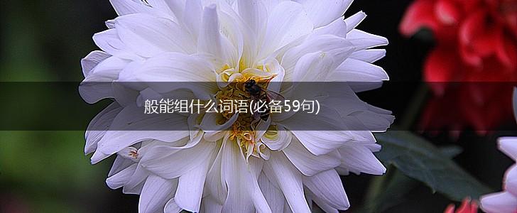 般能组什么词语(必备59句),第1张