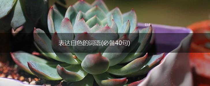表达白色的词语(必备40句),第1张