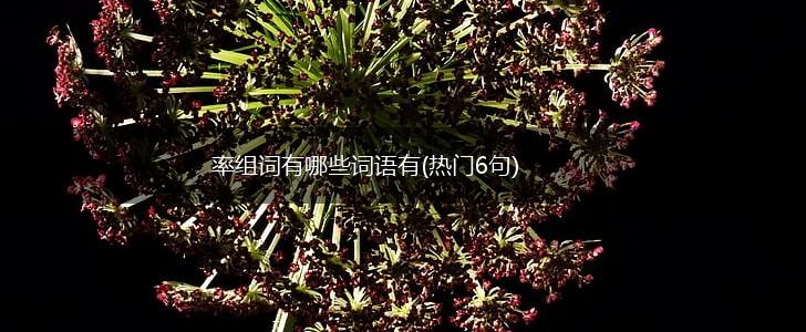 率组词有哪些词语有(热门6句),第1张