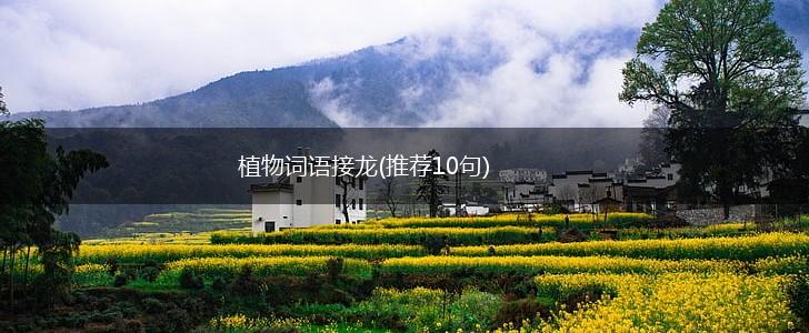 植物词语接龙(推荐10句),第1张