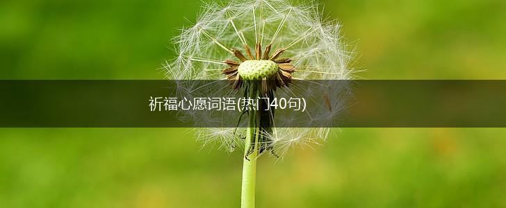 祈福心愿词语(热门40句),第1张