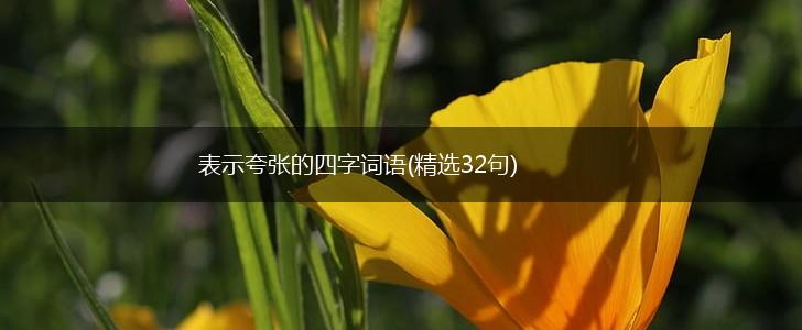 表示夸张的四字词语(精选32句),第1张