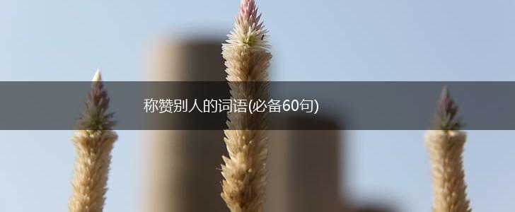 称赞别人的词语(必备60句),第1张