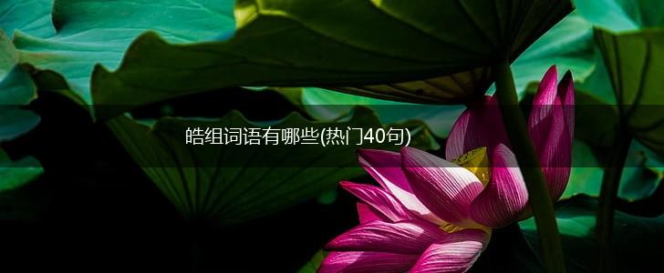 皓组词语有哪些(热门40句),第1张