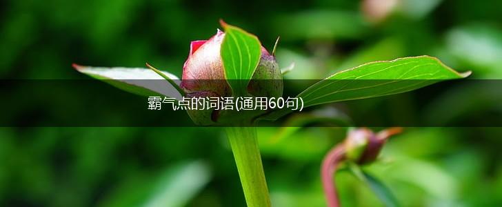 霸气点的词语(通用60句),第1张