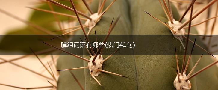 膜组词语有哪些(热门41句),第1张