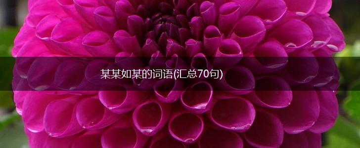 某某如某的词语(汇总70句),第1张