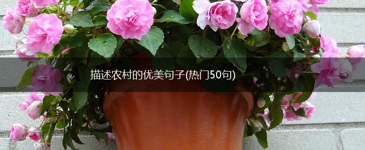 描述农村的优美句子(热门50句),第1张