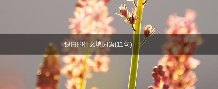 银白的什么填词语(11句),第1张