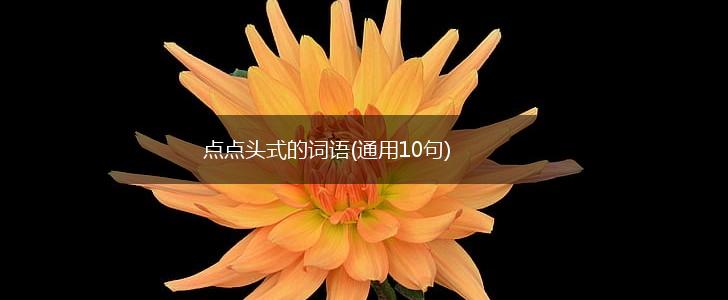 点点头式的词语(通用10句),第1张