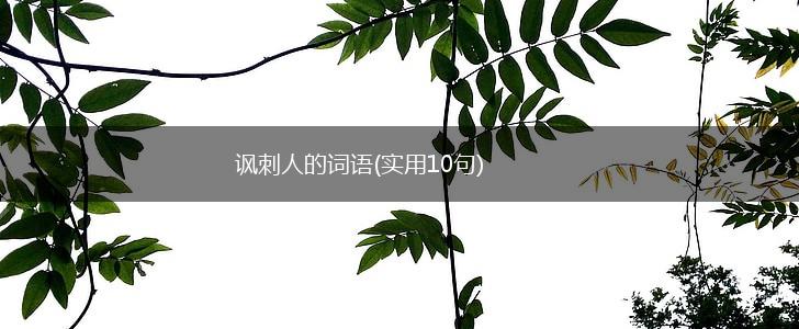 讽刺人的词语(实用10句),第1张