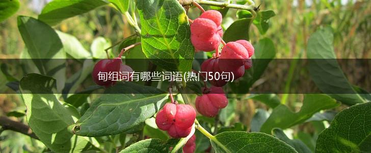 甸组词有哪些词语(热门50句),第1张