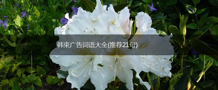 韩束广告词语大全(推荐21句),第1张