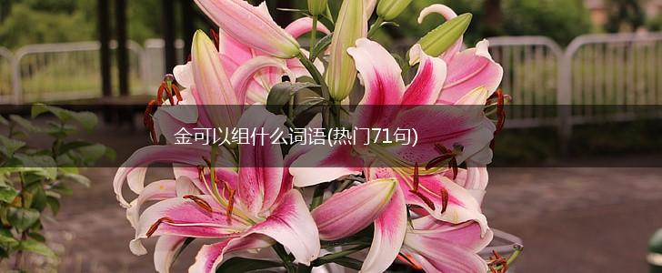 金可以组什么词语(热门71句),第1张