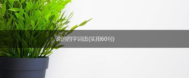 说的四字词语(实用60句),第1张