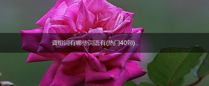 聋组词有哪些词语有(热门40句),第1张