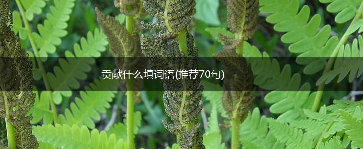 贡献什么填词语(推荐70句),第1张