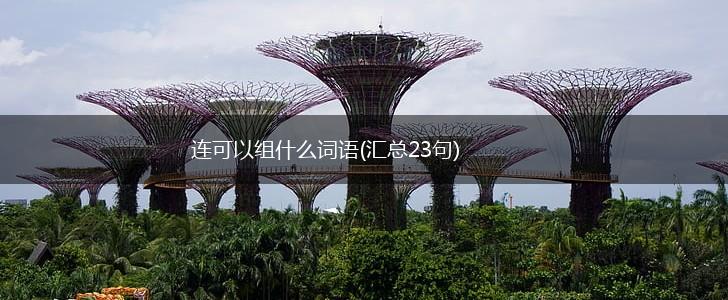 连可以组什么词语(汇总23句),第1张