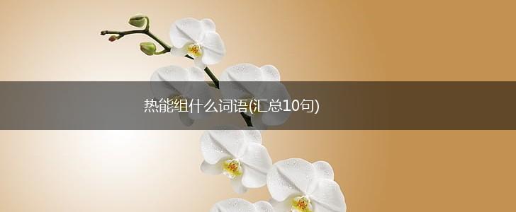 热能组什么词语(汇总10句),第1张
