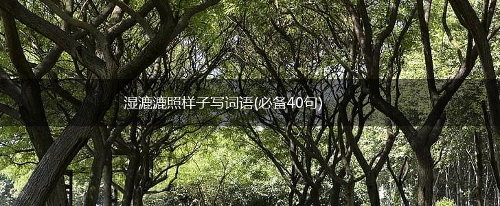 湿漉漉照样子写词语(必备40句),第1张