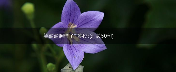 笑盈盈照样子写词语(汇总50句),第1张