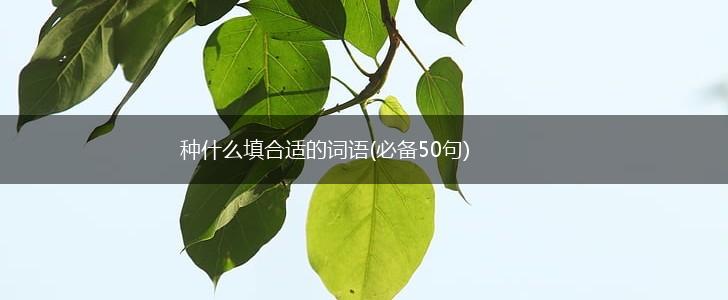 种什么填合适的词语(必备50句),第1张
