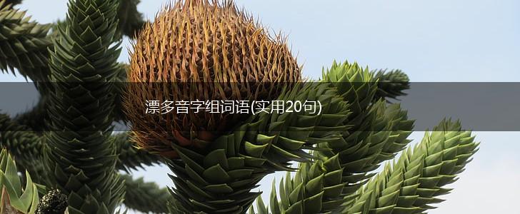 漂多音字组词语(实用20句),第1张