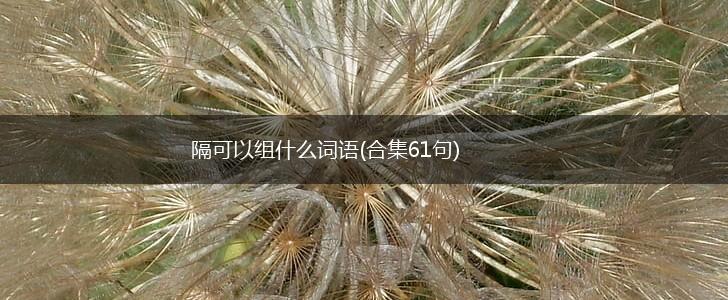 隔可以组什么词语(合集61句),第1张