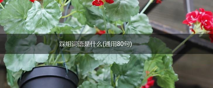 踩组词语是什么(通用80句),第1张