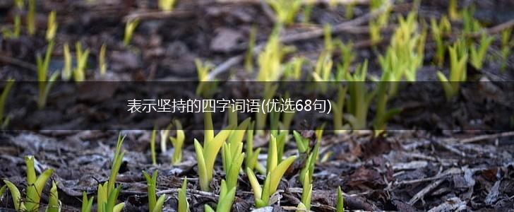 表示坚持的四字词语(优选68句),第1张