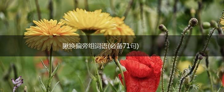 瞅换偏旁组词语(必备71句),第1张