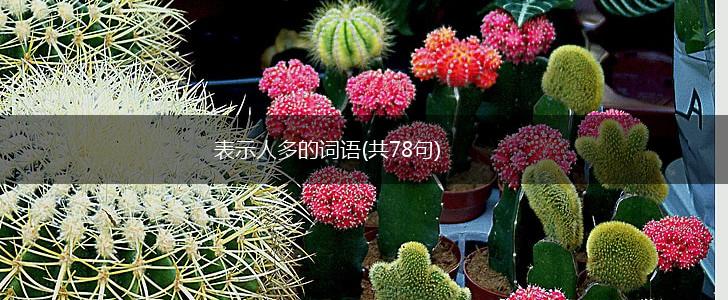 表示人多的词语(共78句),第1张