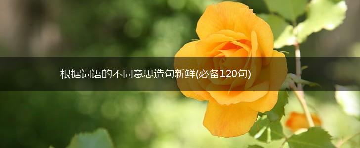 根据词语的不同意思造句新鲜(必备120句),第1张