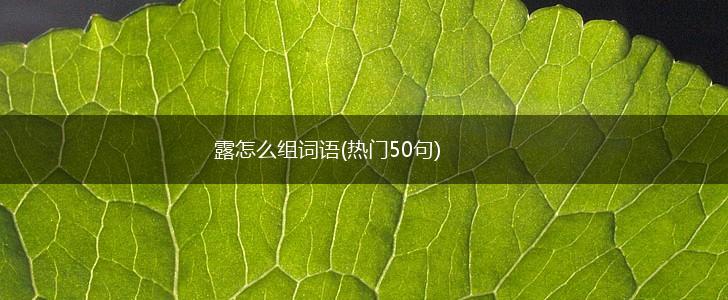 露怎么组词语(热门50句),第1张