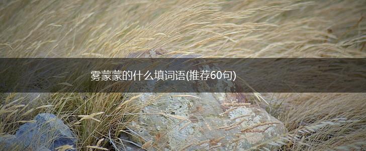 雾蒙蒙的什么填词语(推荐60句),第1张
