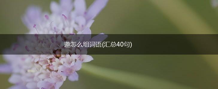 邀怎么组词语(汇总40句),第1张