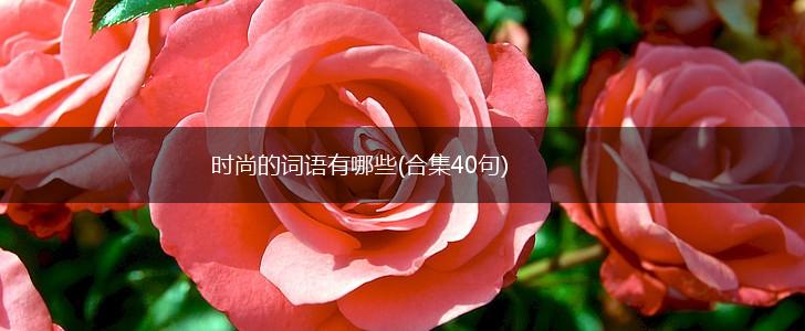 时尚的词语有哪些(合集40句),第1张