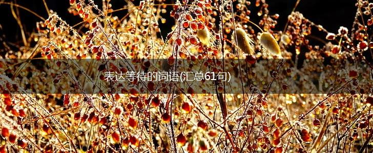 表达等待的词语(汇总61句),第1张
