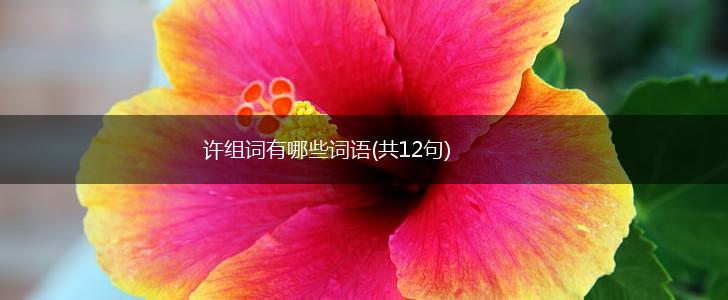 许组词有哪些词语(共12句),第1张