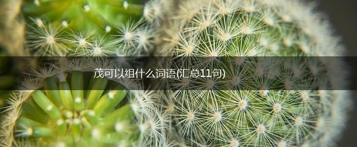 茂可以组什么词语(汇总11句),第1张